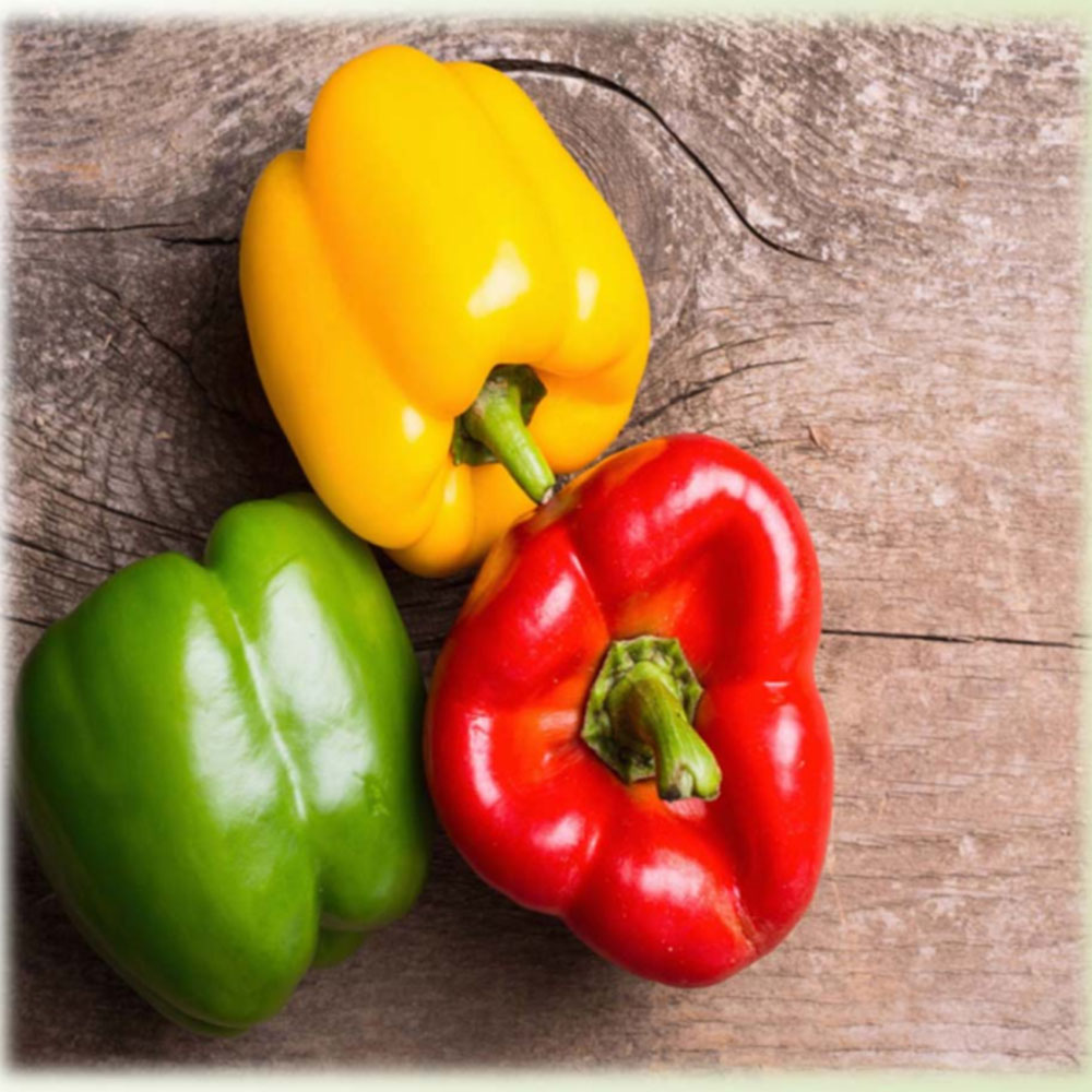 Capsicums Bell Pepper Global Food Corridors   Capsicums Bell Pepper 