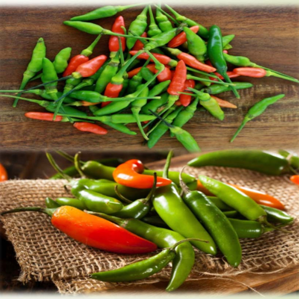 Chilies – Global Food Corridors